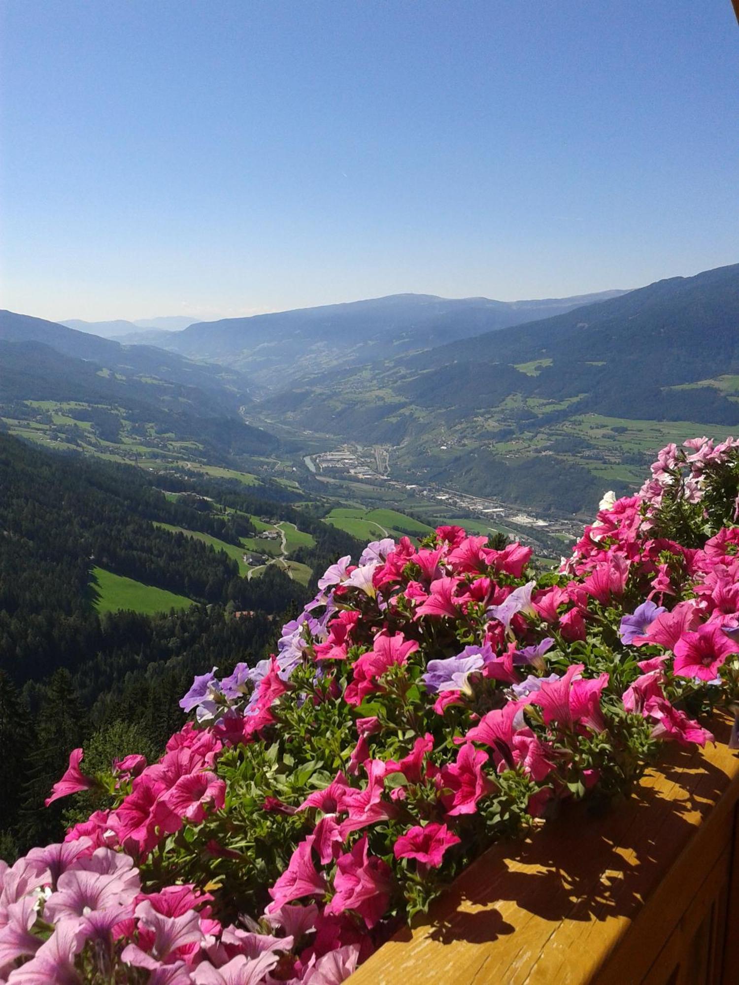 Kaserhof Wandern- Alleinlage - Ruhig- Top Aussicht Bressanone Extérieur photo
